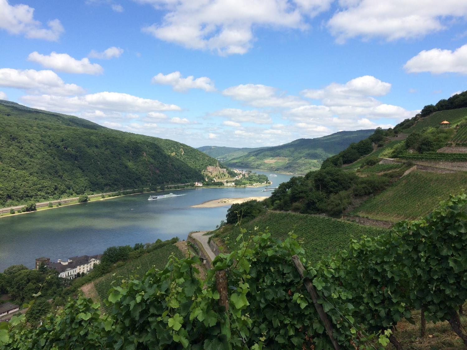 ホテル Winzerhof Ross & Rose Trechtingshausen エクステリア 写真