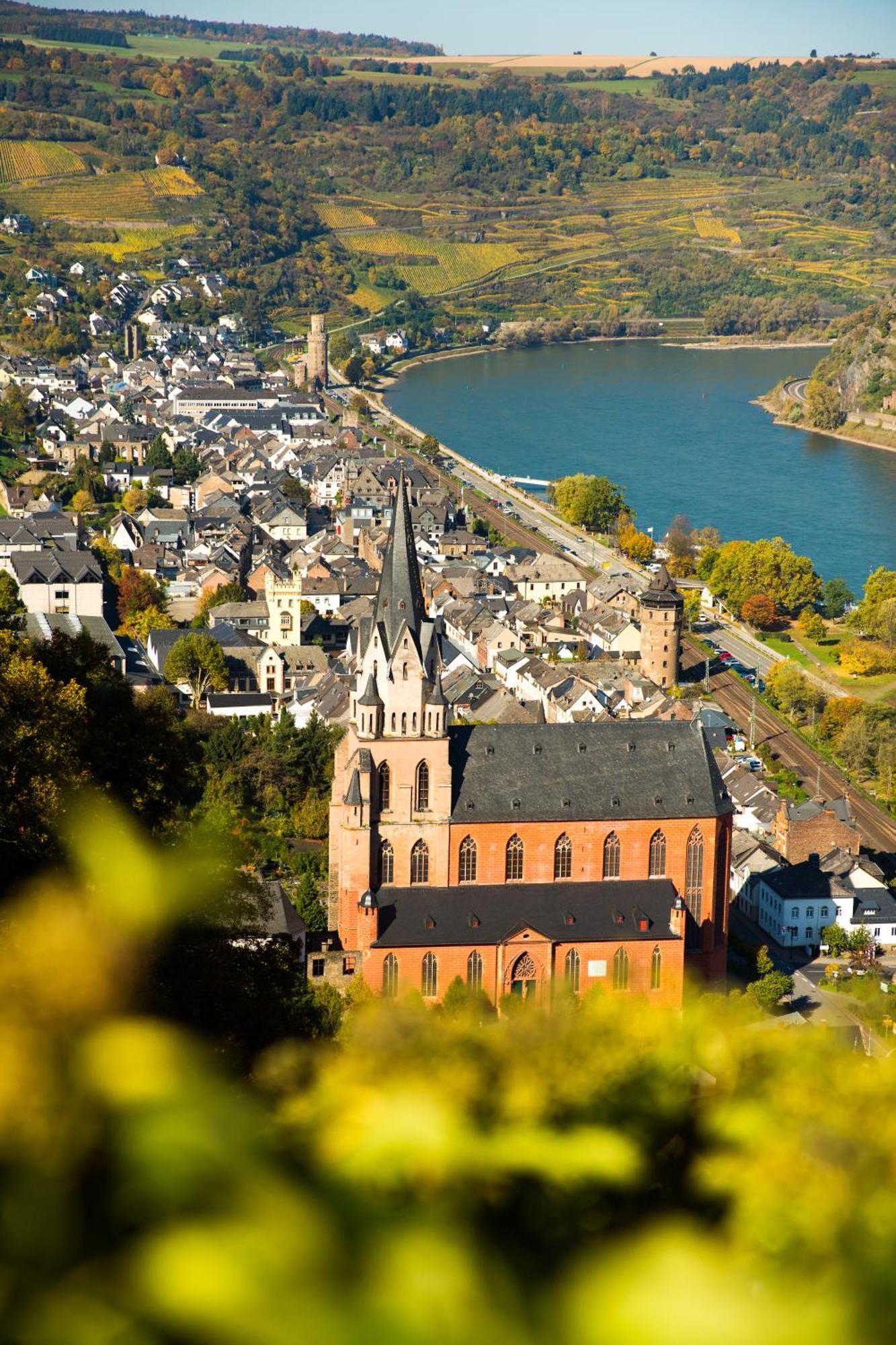 ホテル Winzerhof Ross & Rose Trechtingshausen エクステリア 写真