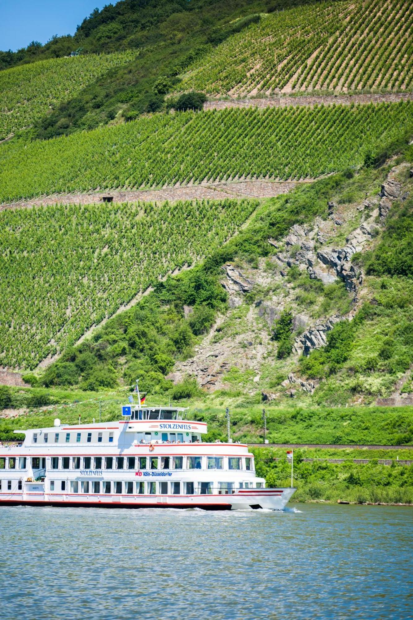 ホテル Winzerhof Ross & Rose Trechtingshausen エクステリア 写真