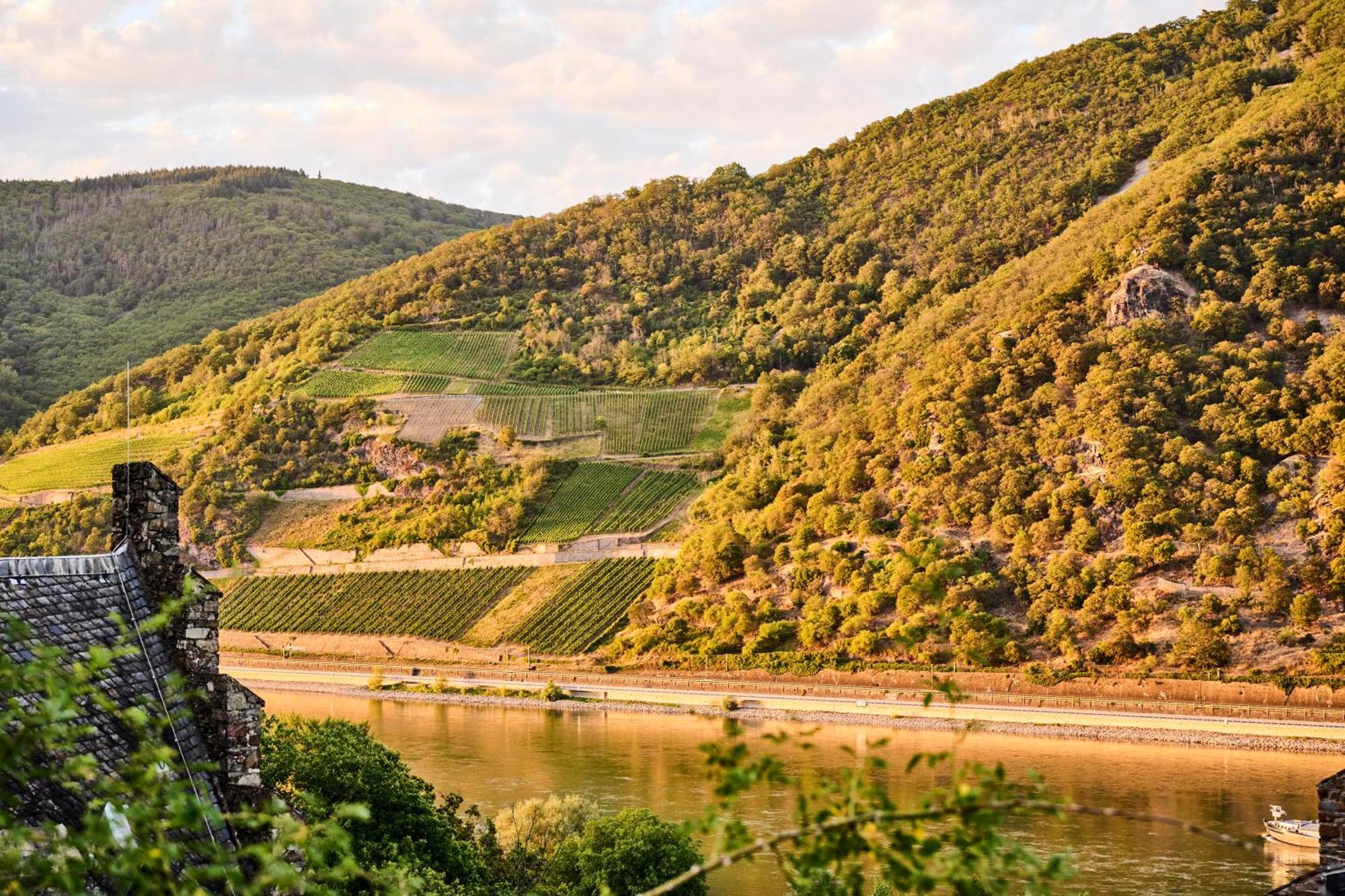 ホテル Winzerhof Ross & Rose Trechtingshausen エクステリア 写真